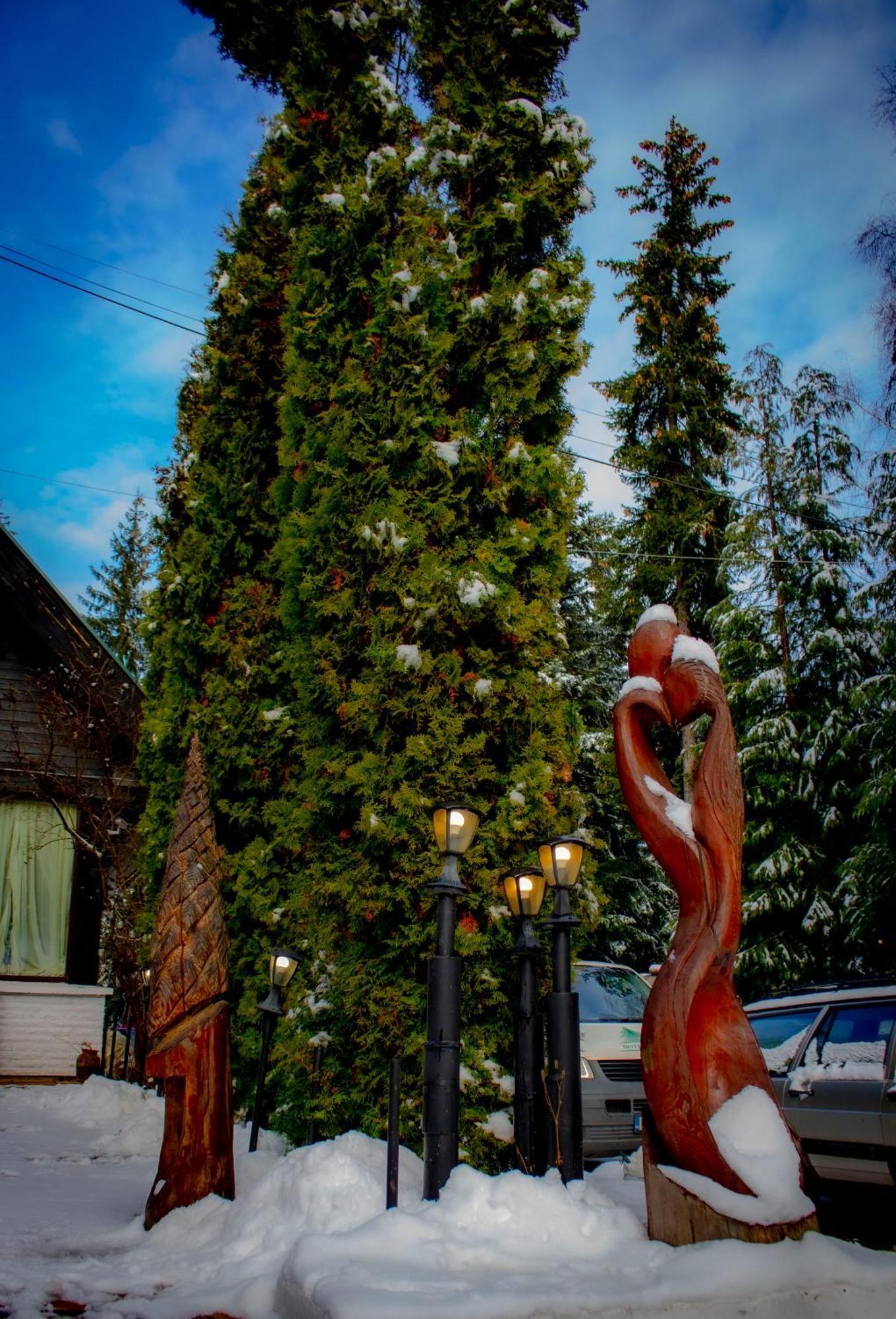 Breza Hotel Borovets Luaran gambar